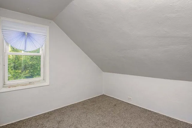 a view of a yard with plants and a large tree