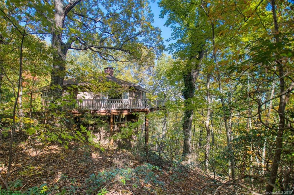 245 Devils Ridge Lane Tryon, NC 28782 - Photo 3 of 25 Gallery Image 3