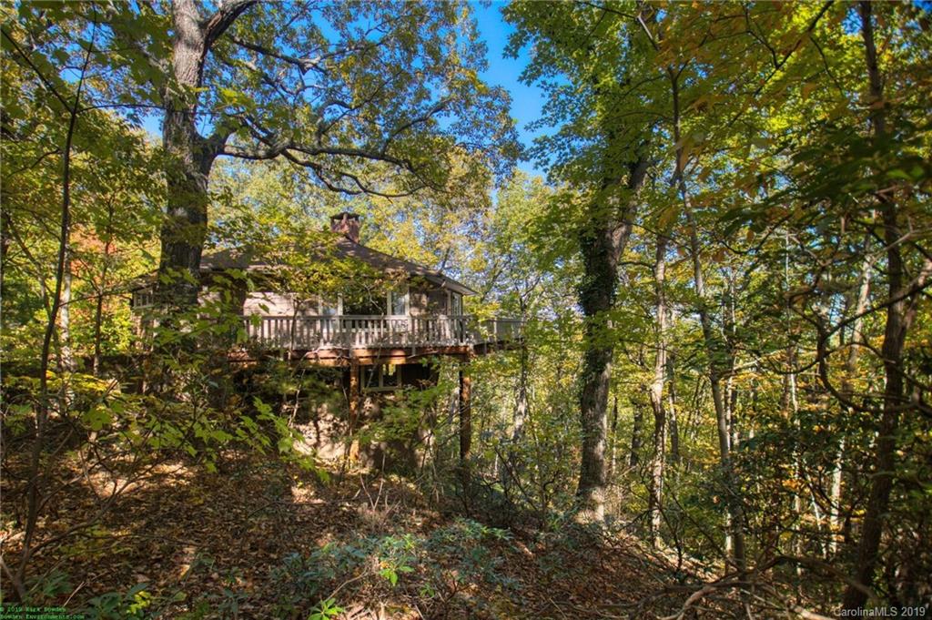245 Devils Ridge Lane Tryon, NC 28782 - Photo 4 of 25 Gallery Image 4