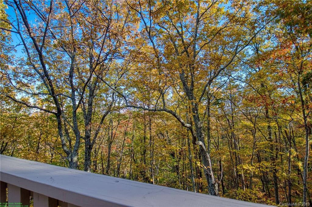 245 Devils Ridge Lane Tryon, NC 28782 - Photo 7 of 25 Gallery Image 7