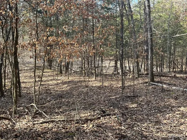 $212,338 | 10272 Old Black River Road, Potosi, MO 63664