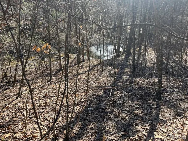 $212,338 | 10272 Old Black River Road, Potosi, MO 63664