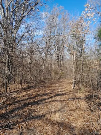 $212,338 | 10272 Old Black River Road, Potosi, MO 63664