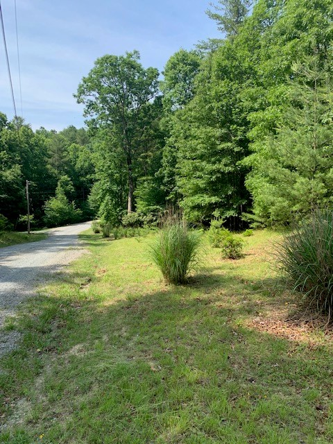 26 Ridge Line Trail, Unit 26 Independence, VA 24348 - Photo 11 of 11 Gallery Image 11