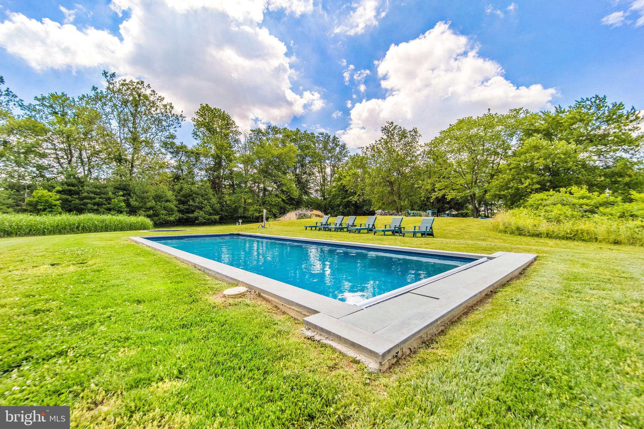 8684 Woodward Road Marshall, VA 20115 - Photo 29 of 30 Swimming Pool