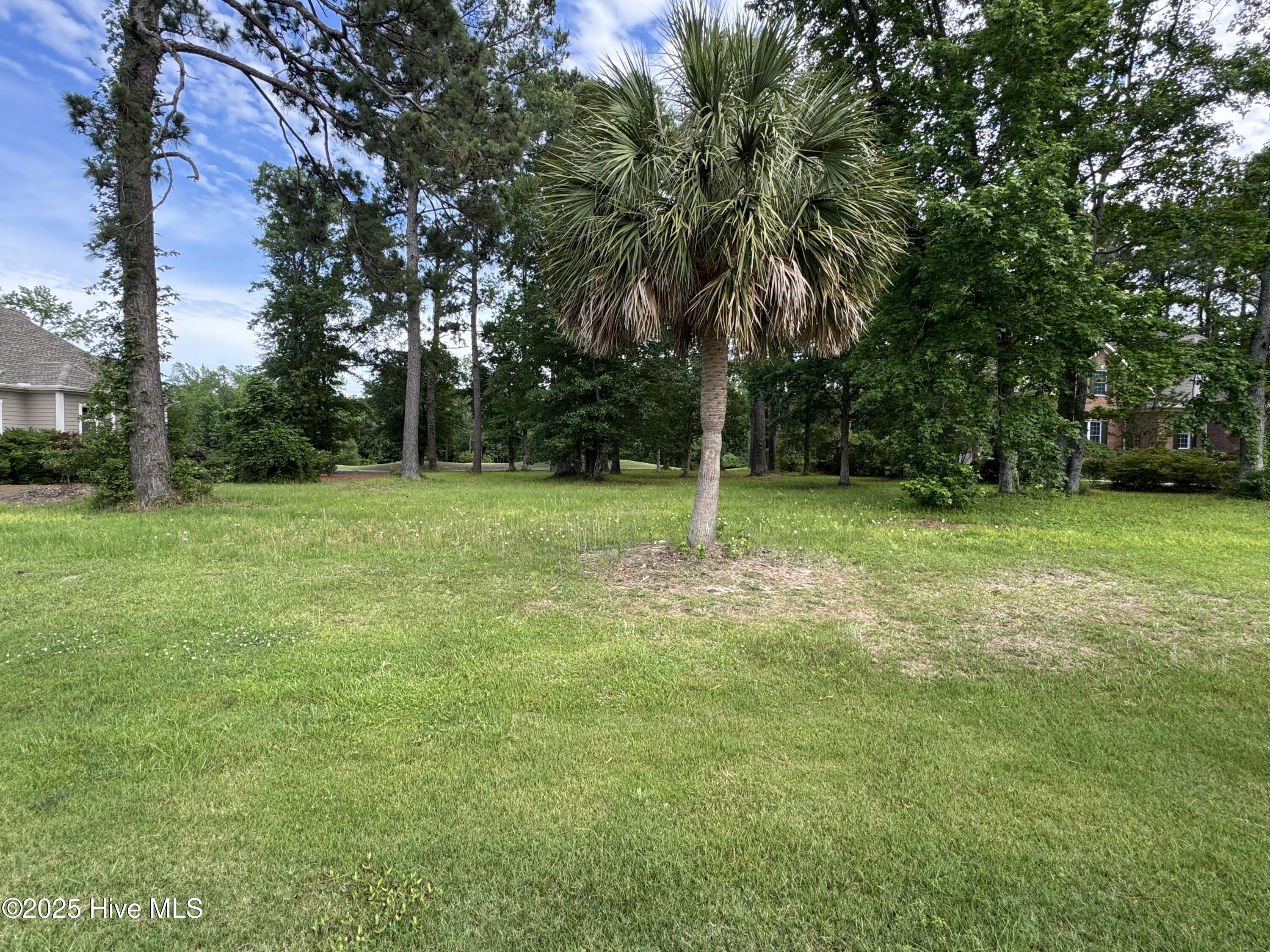 716 Ocean Ridge Parkway Southwest Ocean Isle Beach, NC 28469 - Photo 1 of 28 From Road View