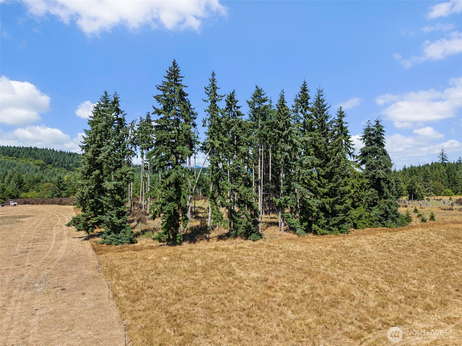 0 Frogner Road, Unit 2 Chehalis, WA 98532 - Photo 9 of 12 a view of outdoor space with trees
