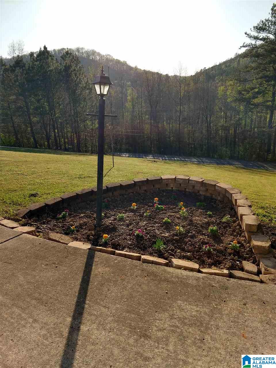 294 Red Valley Road Remlap, AL 35133 - Photo 5 of 31