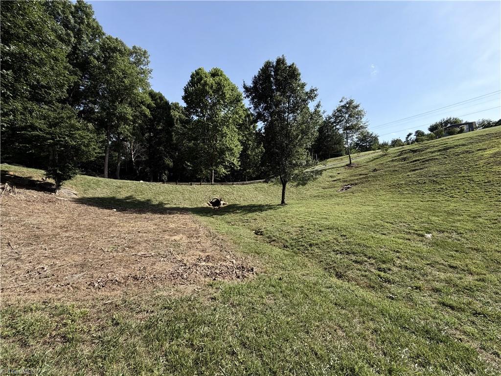 0 Stewart Road Walnut Cove, NC 27052 - Photo 9 of 17