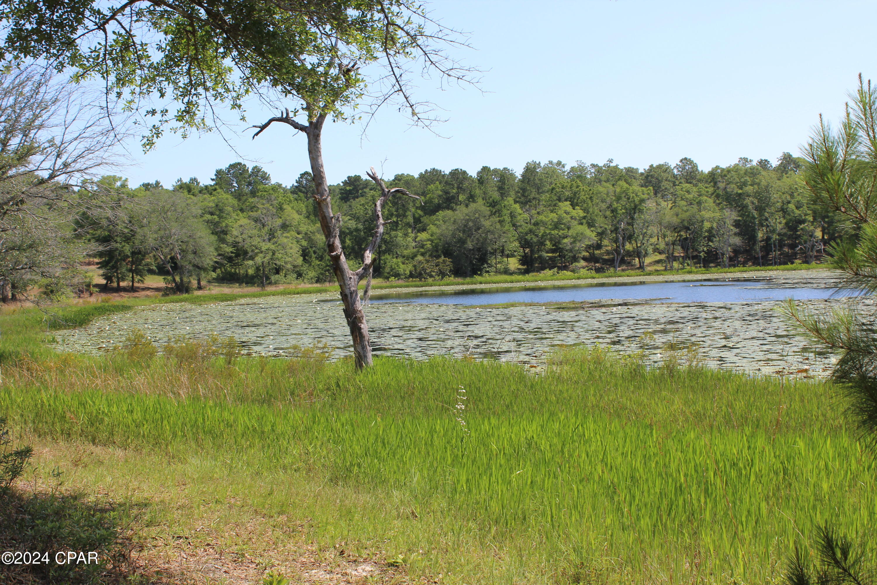 Tbd Twin Pond Road Vernon, FL 32462 - Photo 34 of 42 Gallery Image 34