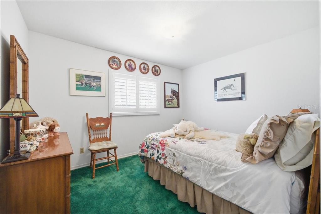 9449 Roberts Road Odessa, FL 33556 - Photo 30 of 68