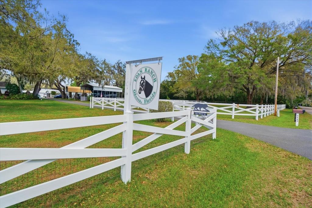 9449 Roberts Road Odessa, FL 33556 - Photo 46 of 68