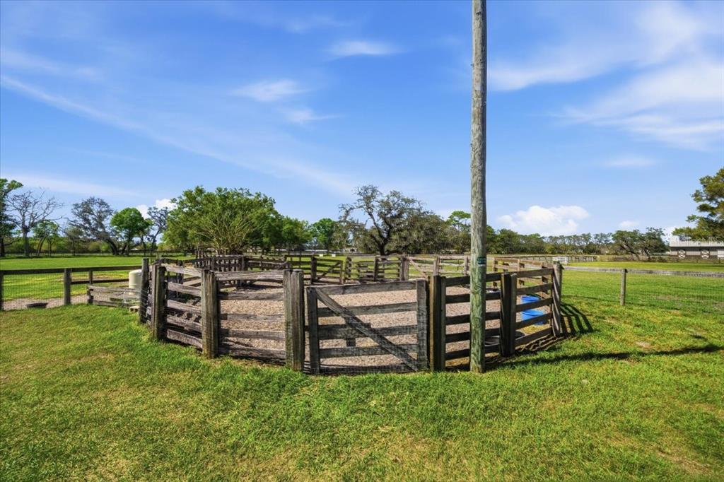 9449 Roberts Road Odessa, FL 33556 - Photo 56 of 68