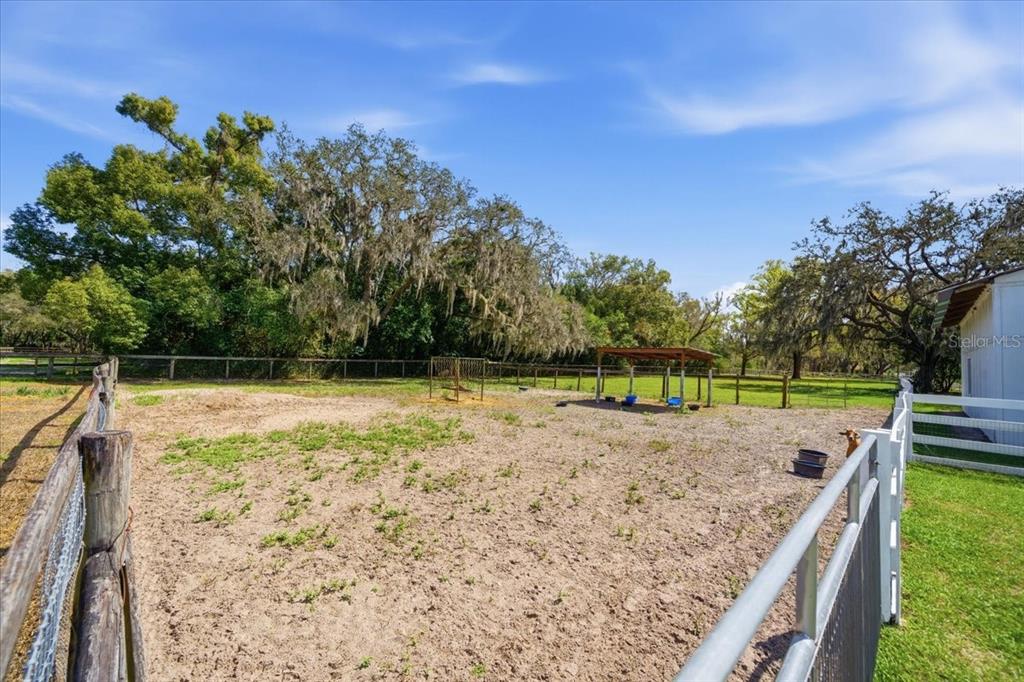 9449 Roberts Road Odessa, FL 33556 - Photo 58 of 68