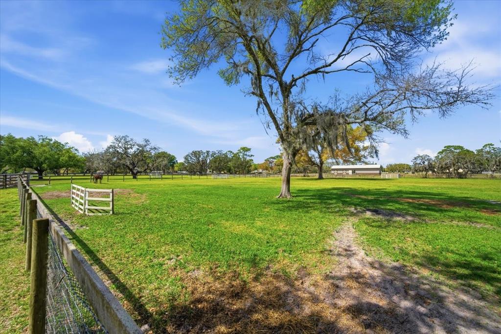 9449 Roberts Road Odessa, FL 33556 - Photo 59 of 68