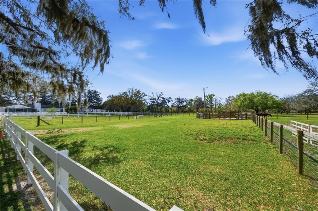 9449 Roberts Road Odessa, FL 33556 - Photo 60 of 68