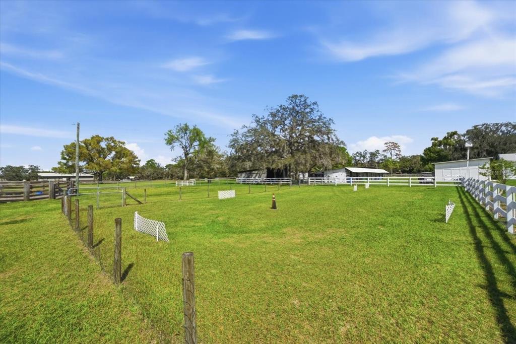 9449 Roberts Road Odessa, FL 33556 - Photo 61 of 68