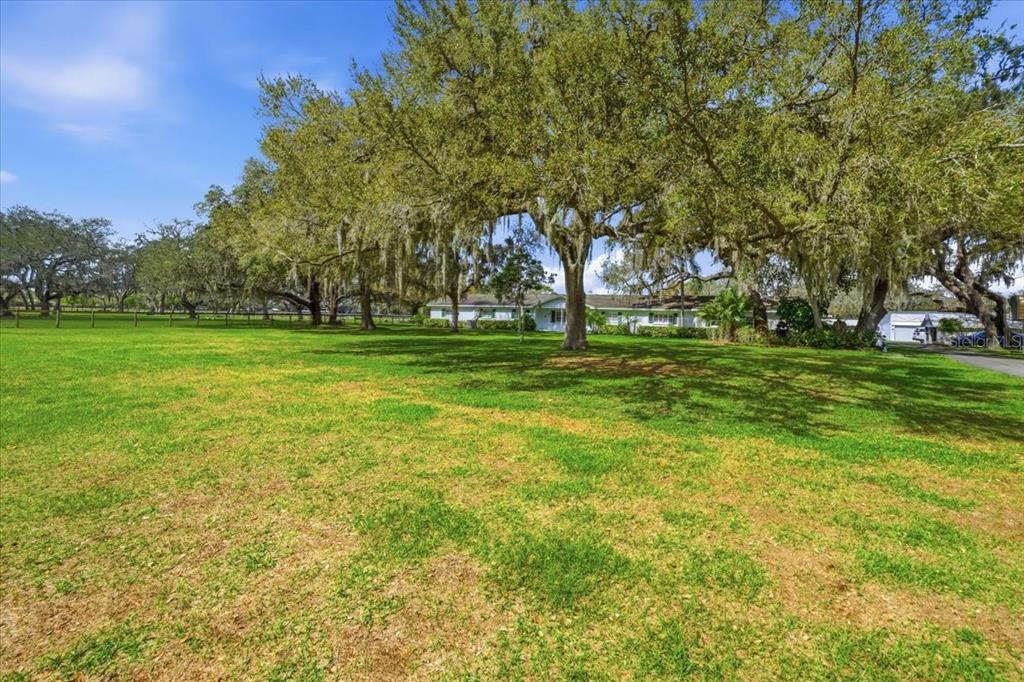 9449 Roberts Road Odessa, FL 33556 - Photo 63 of 68