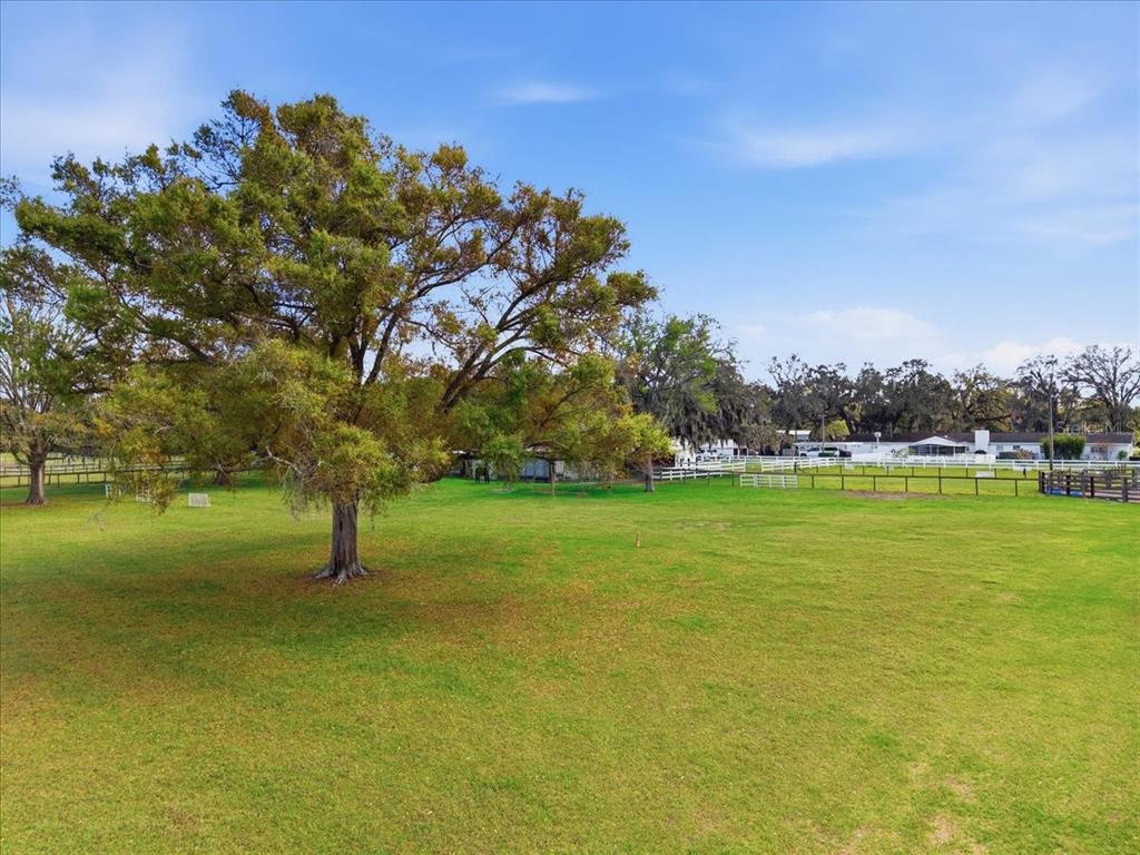 9449 Roberts Road Odessa, FL 33556 - Photo 65 of 68