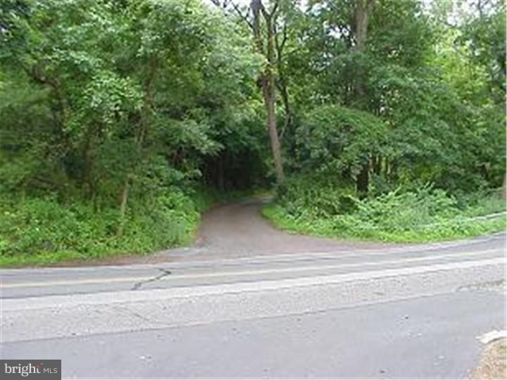 319 Limerick Center Road Pottstown, PA 19464 - Photo 8 of 18 Driveway