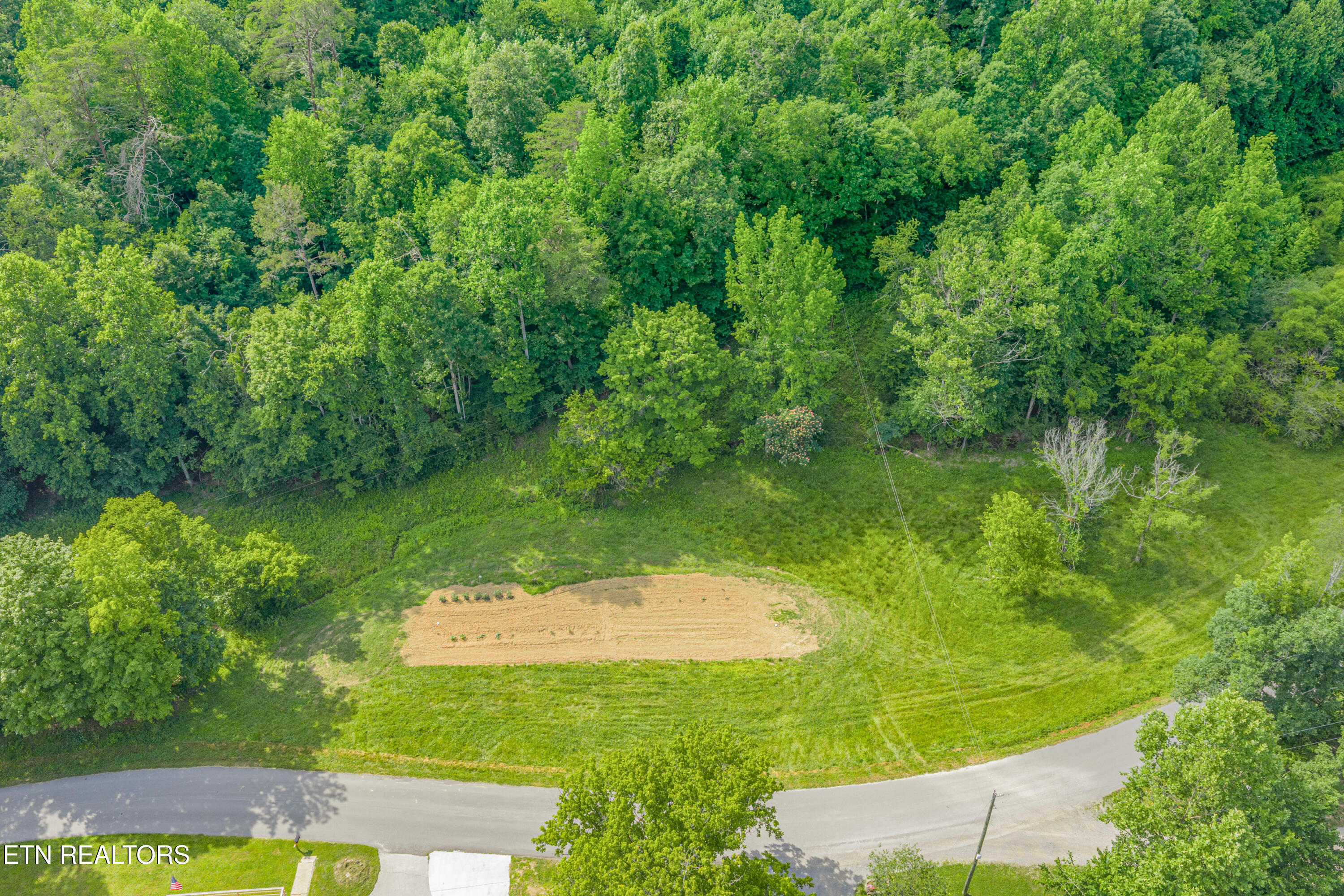 Dark Hollow Road Andersonville, TN 37705 - Photo 5 of 21 2-print-Dark Hollow Road-2
