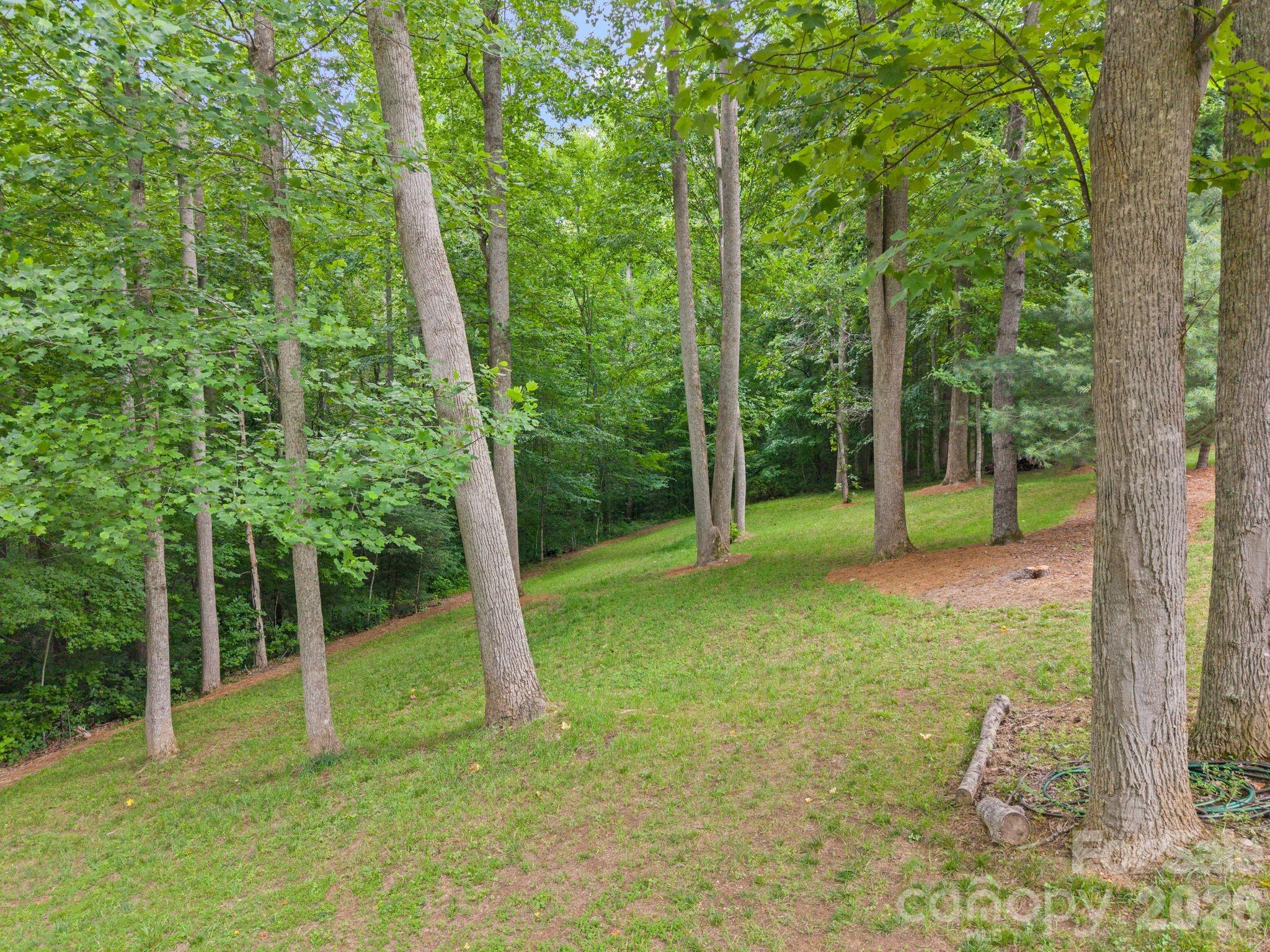 813 Beech Tree Place Hendersonville, NC 28792 - Photo 39 of 41