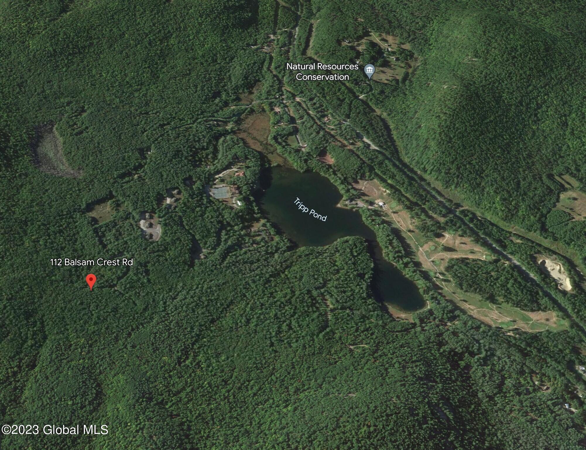 112 Balsam Crest Road Warrensburg, NY 12817 - Photo 7 of 11 earth 4