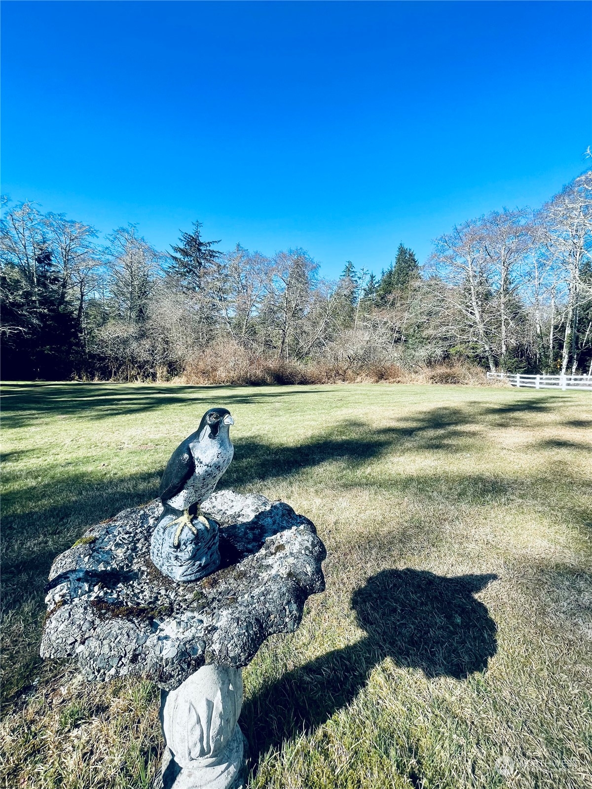 36808 Stackpole Road Oysterville, WA 98641 - Photo 38 of 40 a view of a lake with a yard