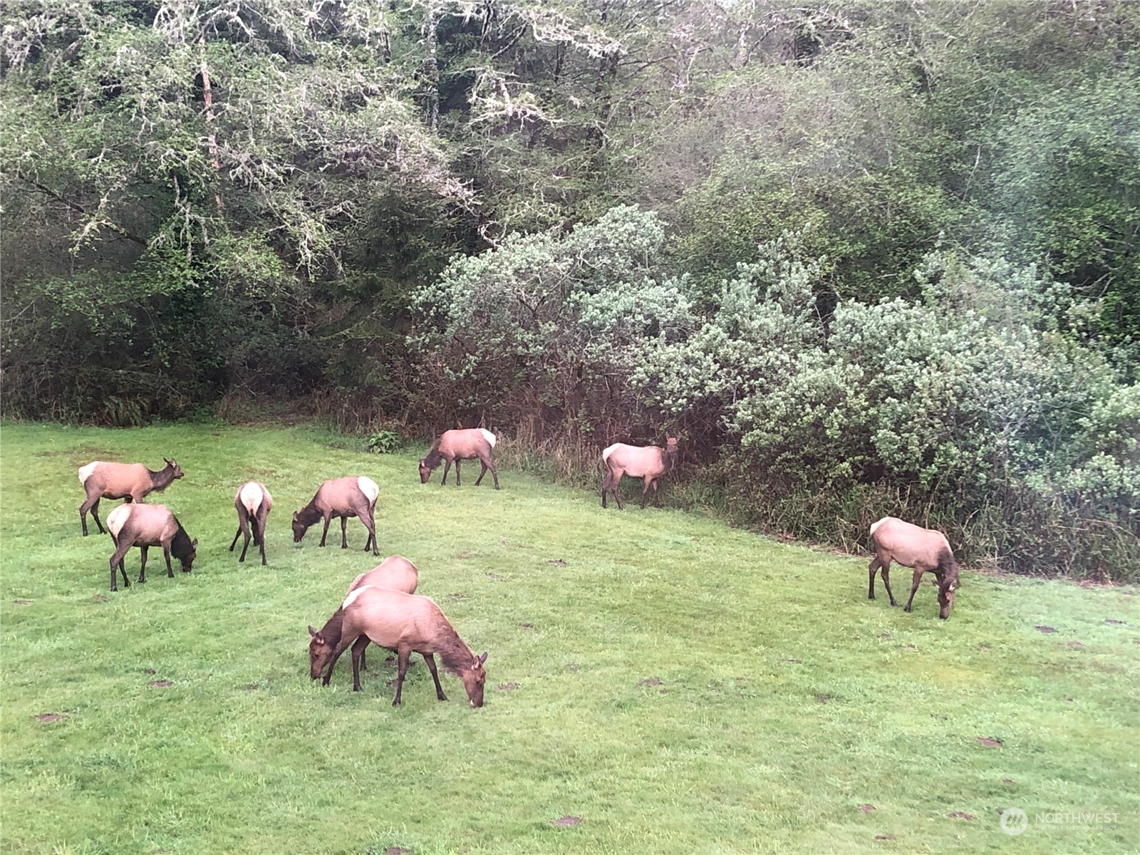 36808 Stackpole Road Oysterville, WA 98641 - Photo 39 of 40 a outdoor view with a bench