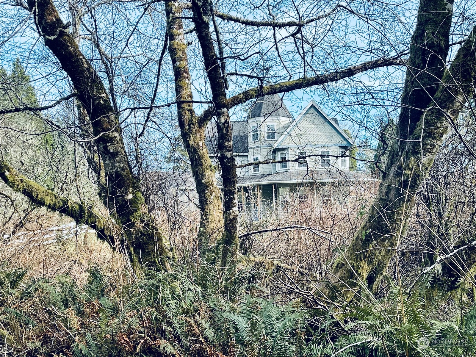 36808 Stackpole Road Oysterville, WA 98641 - Photo 40 of 40 a backyard of a house with lots of green space