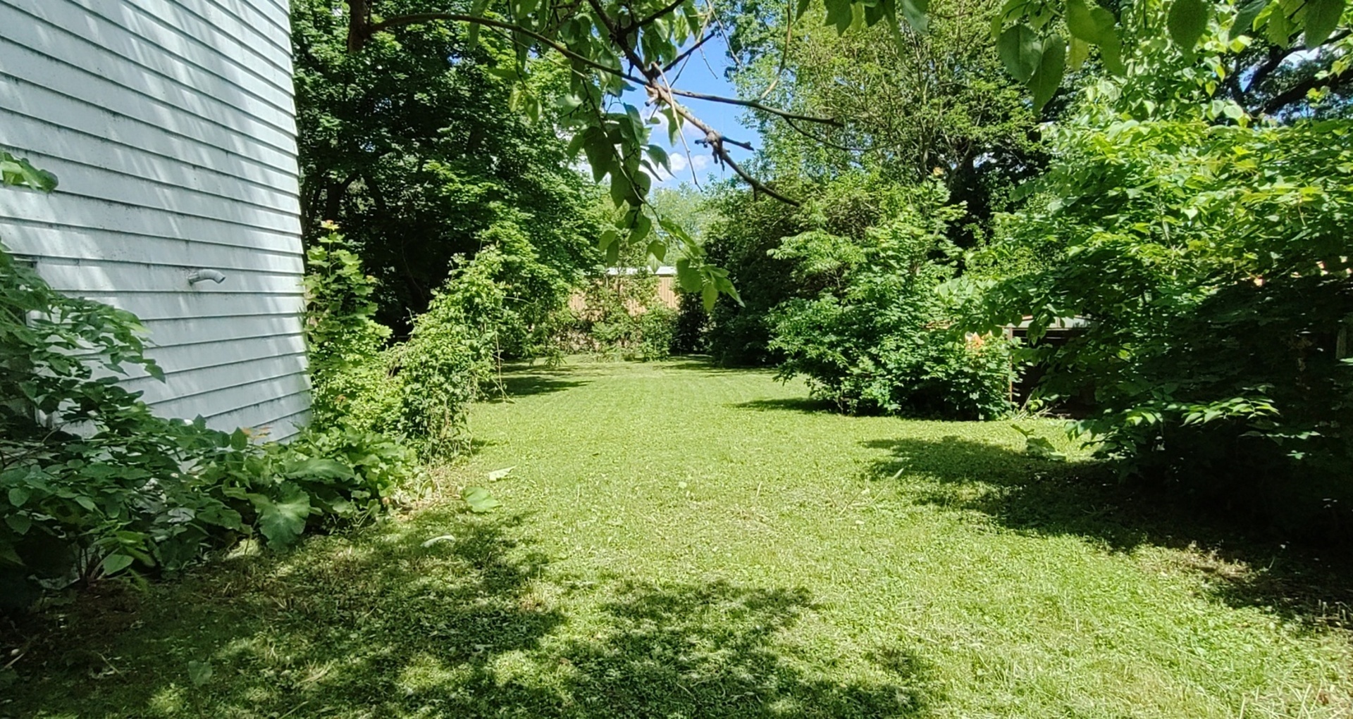 227 Ave C Rochelle, IL 61068 - Photo 9 of 36 a view of yard with green space