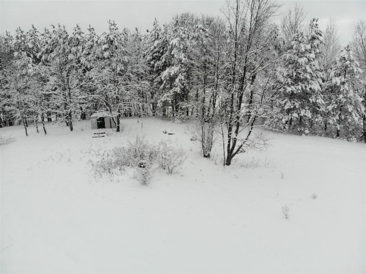 19 19 Mile Road Leroy, MI 49655 - Photo 3 of 30 Gallery Image 3