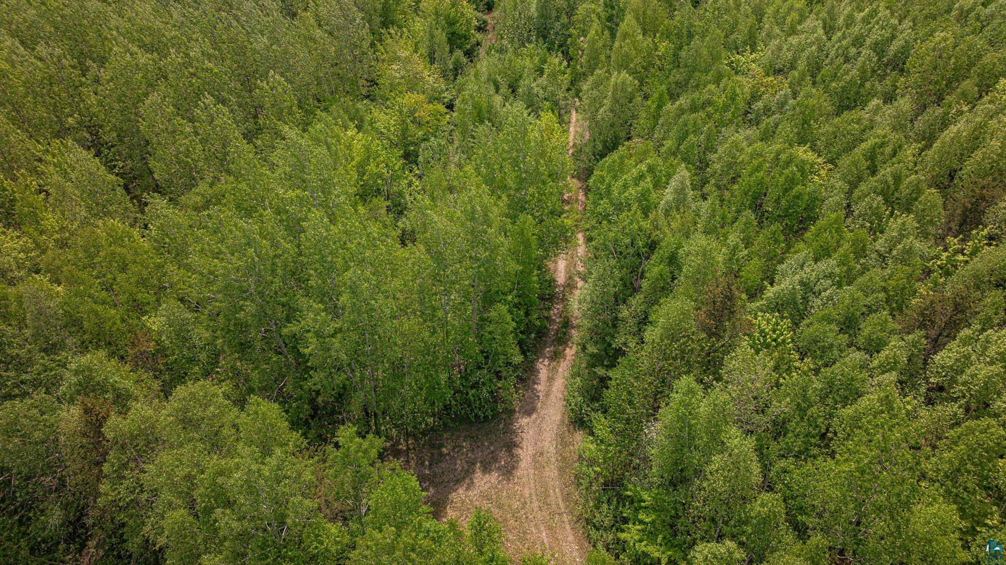 Tbd Tbd Muckwa Lake Road Babbitt, MN 55706 - Photo 40 of 54