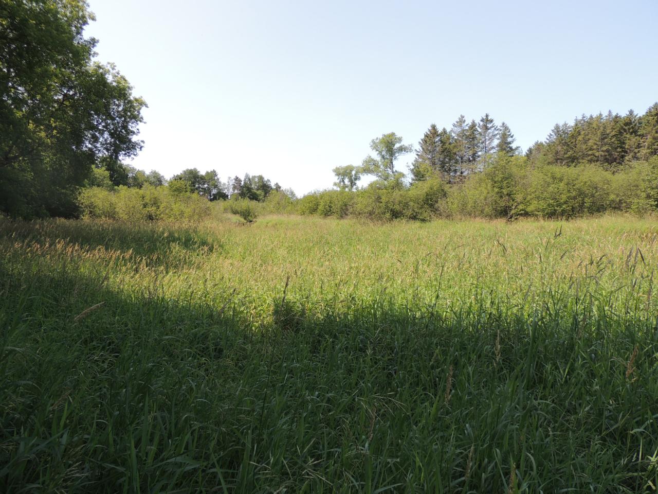 N2370 Koszarek Road Antigo, WI 54409 - Photo 25 of 32 Gallery Image 25