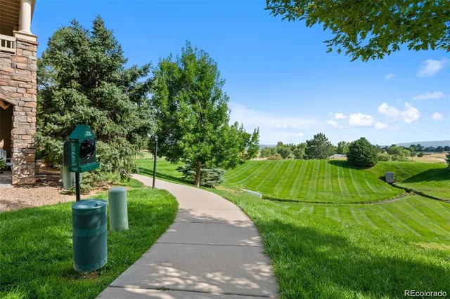 a view of a park with large trees