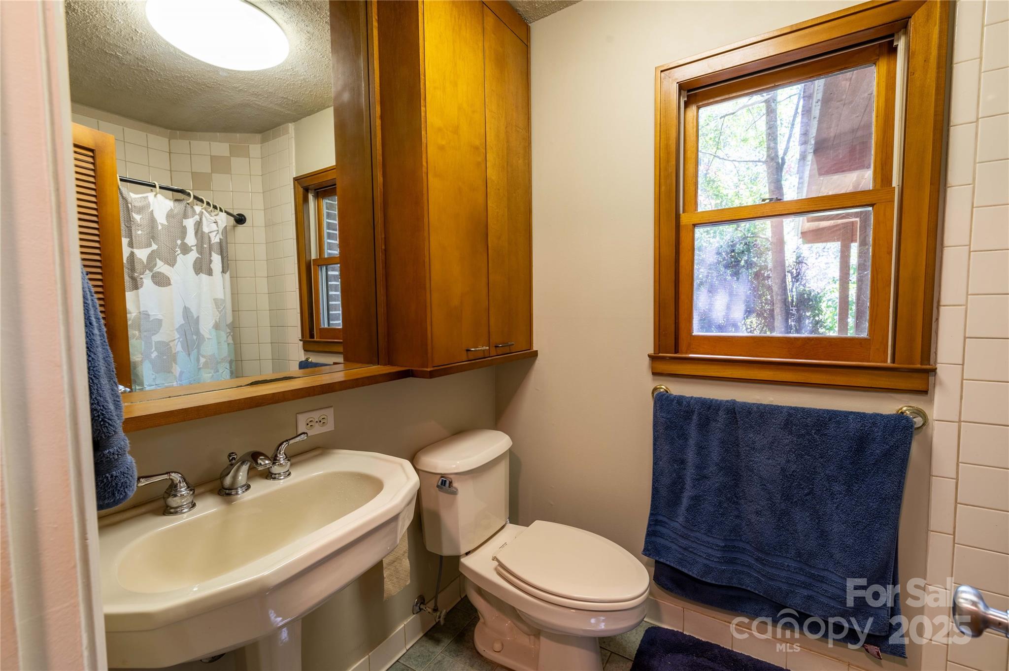7825 Buck Creek Road Marion, NC 28752 - Photo 19 of 48 a bathroom with a sink a toilet and a mirror