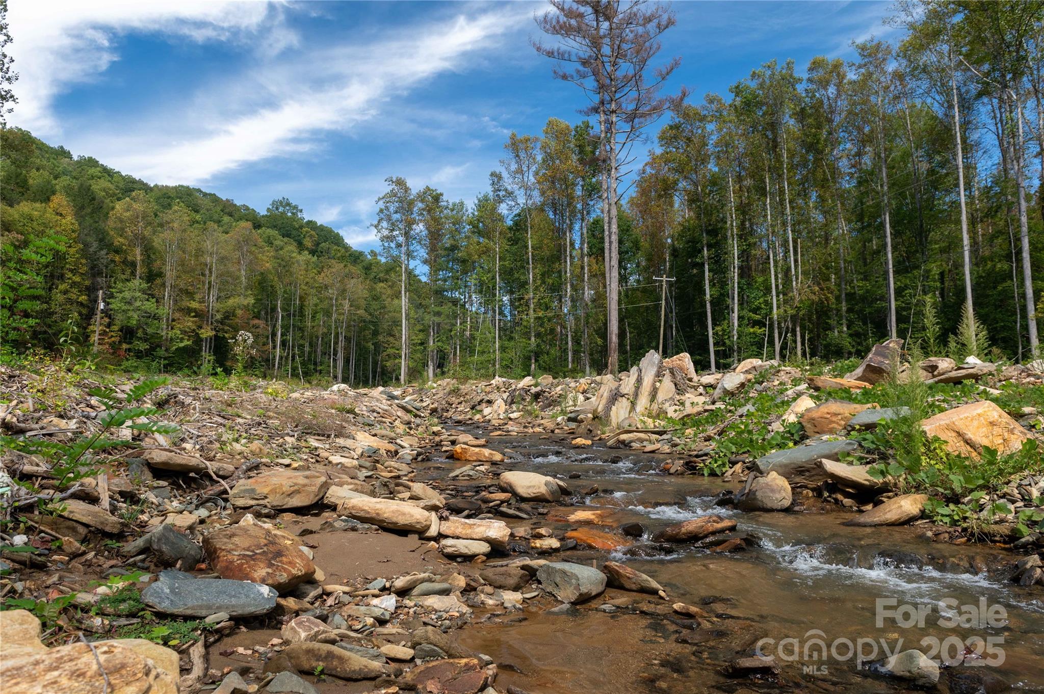7825 Buck Creek Road Marion, NC 28752 - Photo 2 of 48 a view of a lake with a tree