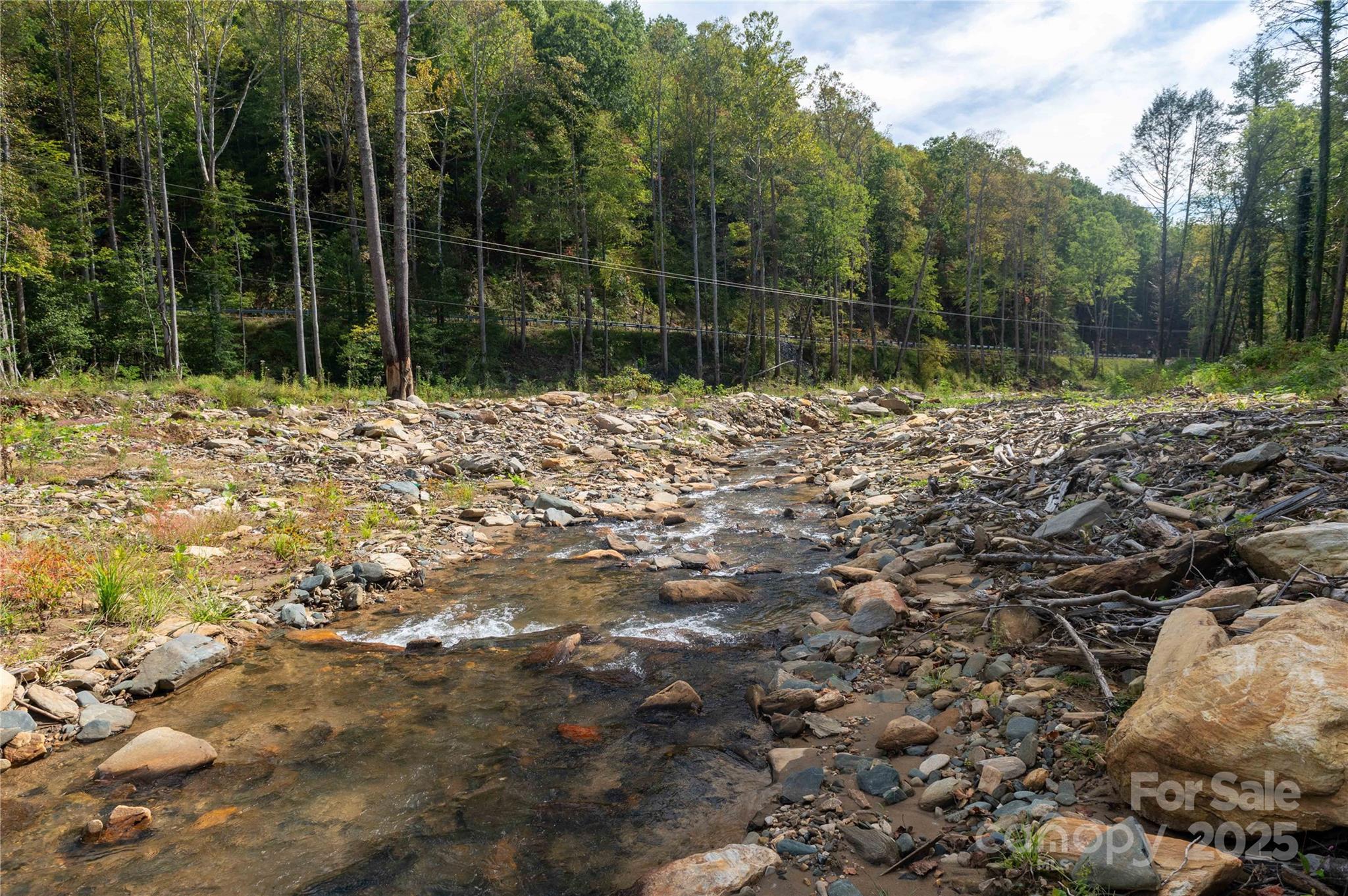 7825 Buck Creek Road Marion, NC 28752 - Photo 3 of 48 a backyard of a house with lots of plants and entertaining space