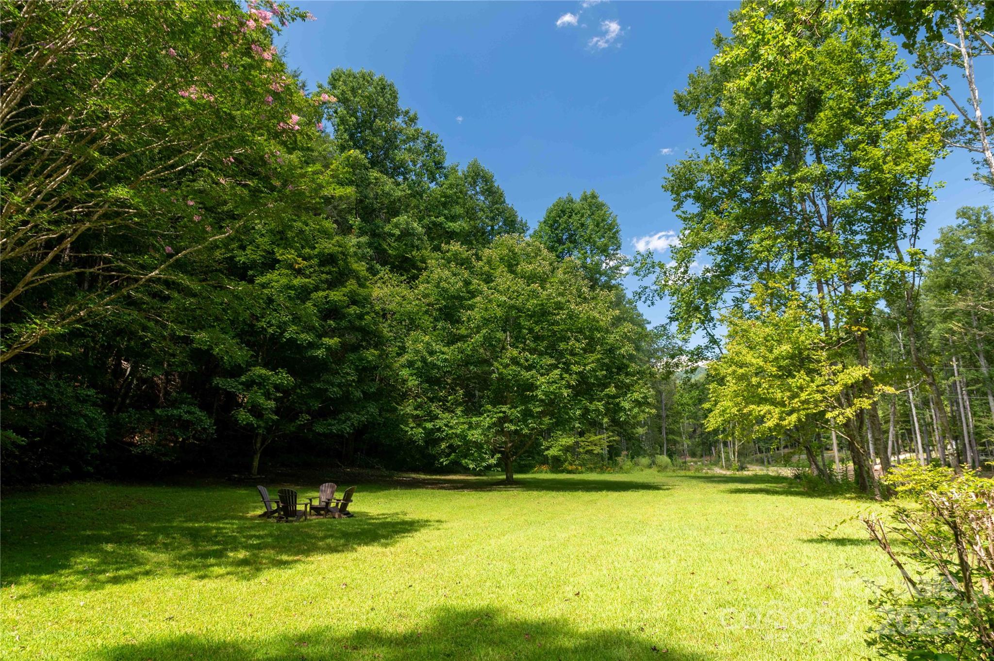 7825 Buck Creek Road Marion, NC 28752 - Photo 40 of 48 a view of a garden