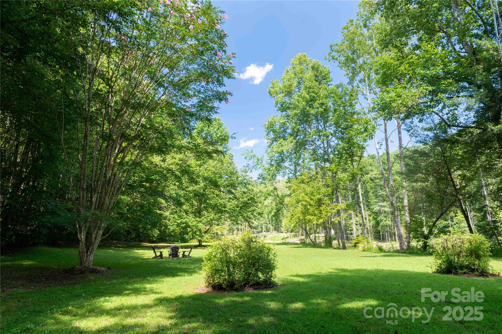 7825 Buck Creek Road Marion, NC 28752 - Photo 41 of 48 a view of a backyard with large trees