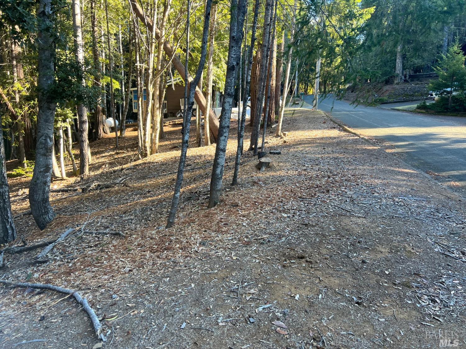 a view of road with trees