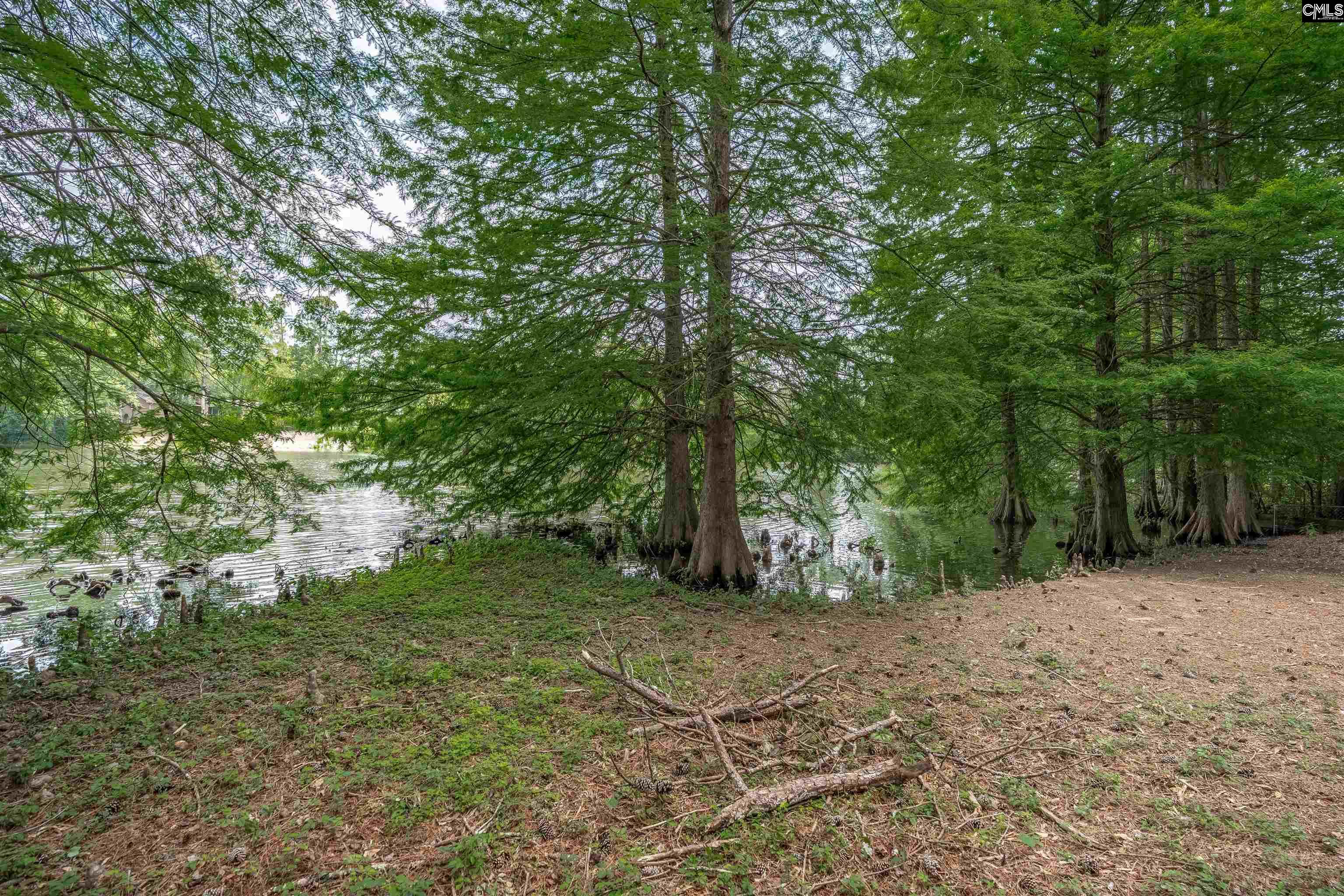 231 Tram Road Columbia, SC 29210 - Photo 33 of 41