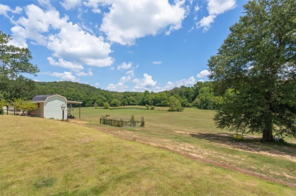 441 Pumpkinvine Road Acworth, GA 30101 - Photo 45 of 54