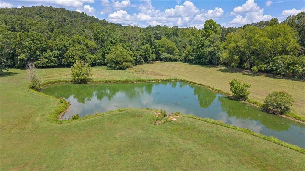 441 Pumpkinvine Road Acworth, GA 30101 - Photo 46 of 54