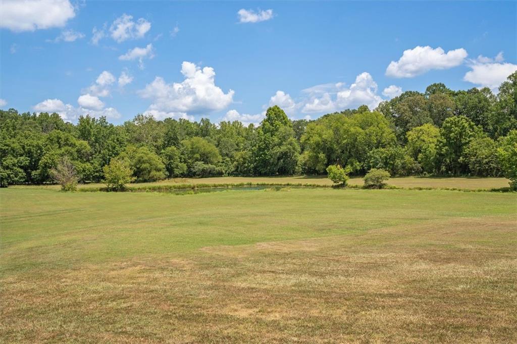 441 Pumpkinvine Road Acworth, GA 30101 - Photo 47 of 54