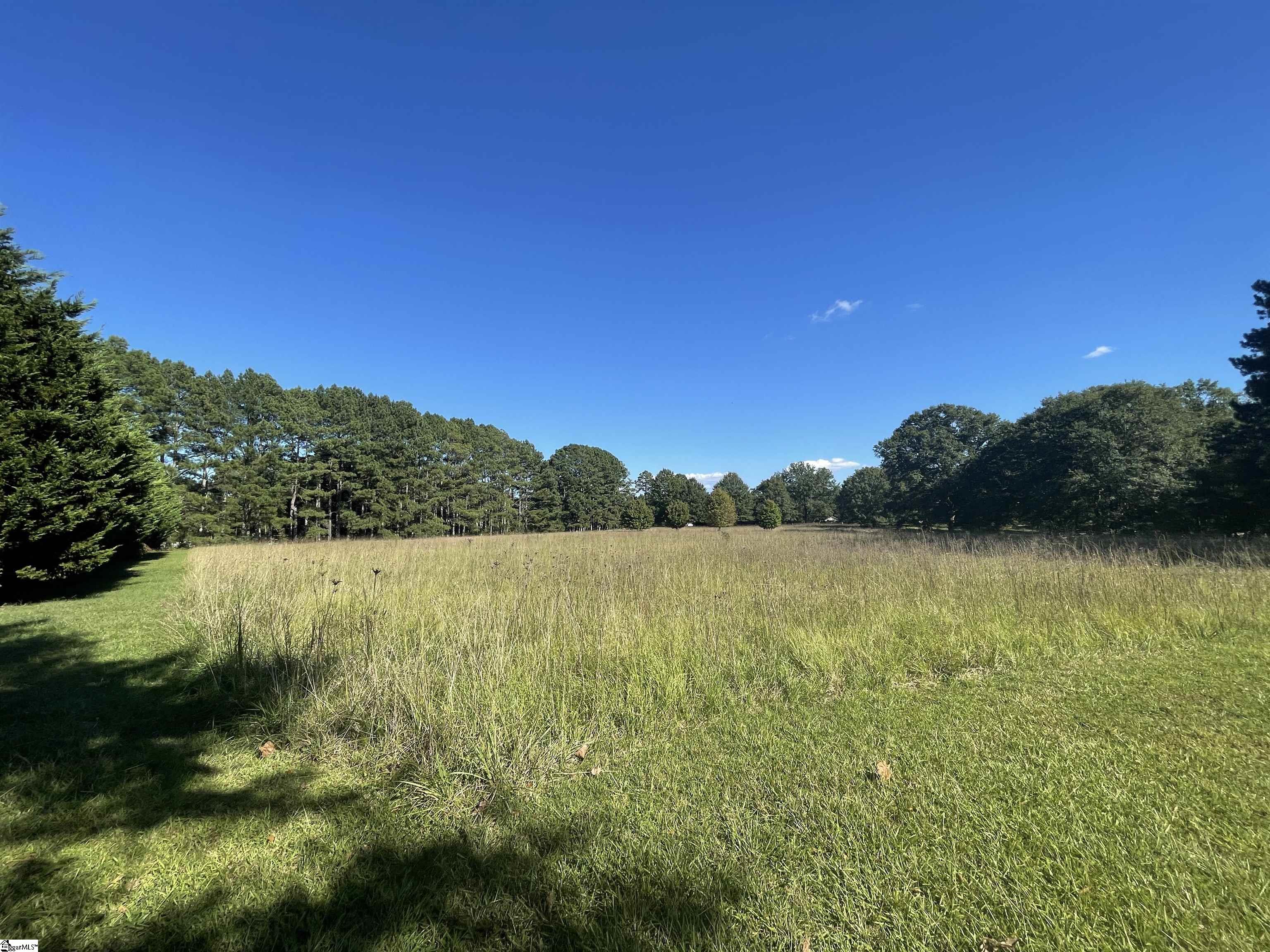 510 Thomason Farm Road Laurens, SC 29360 - Photo 1 of 9 Gallery Image 1