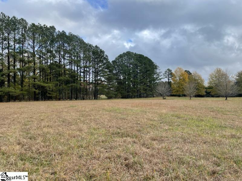 510 Thomason Farm Road Laurens, SC 29360 - Photo 2 of 9 Gallery Image 2