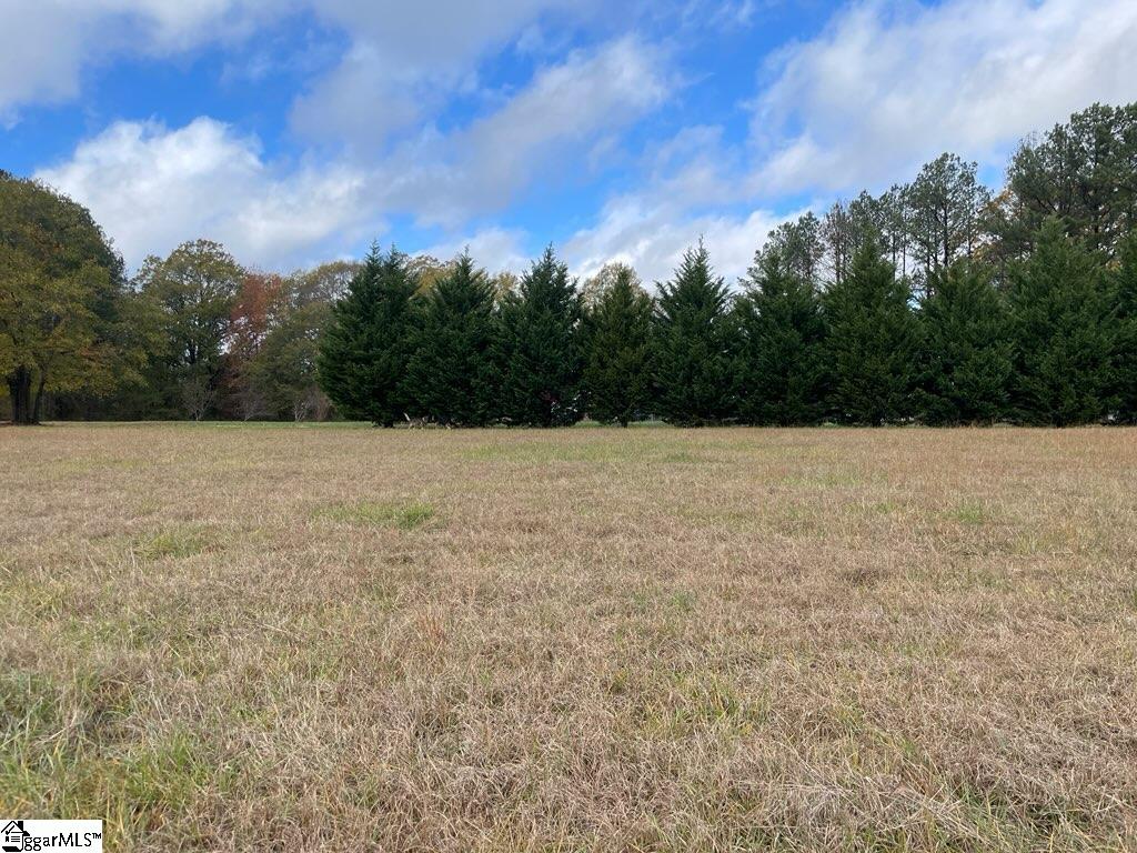 510 Thomason Farm Road Laurens, SC 29360 - Photo 6 of 9 Gallery Image 6