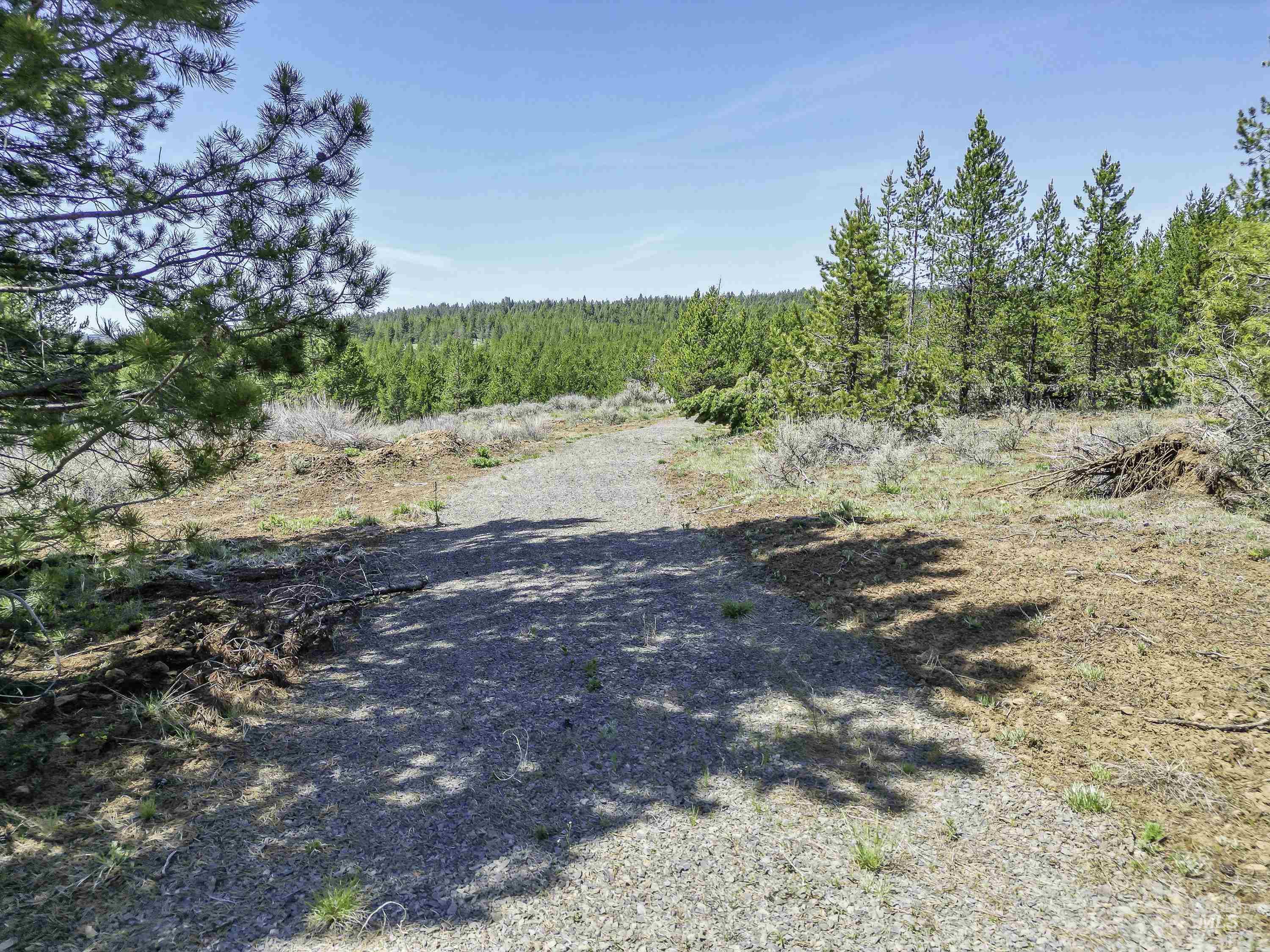 Tbd Deer Creek Road Winchester, ID 83555 - Photo 1 of 39