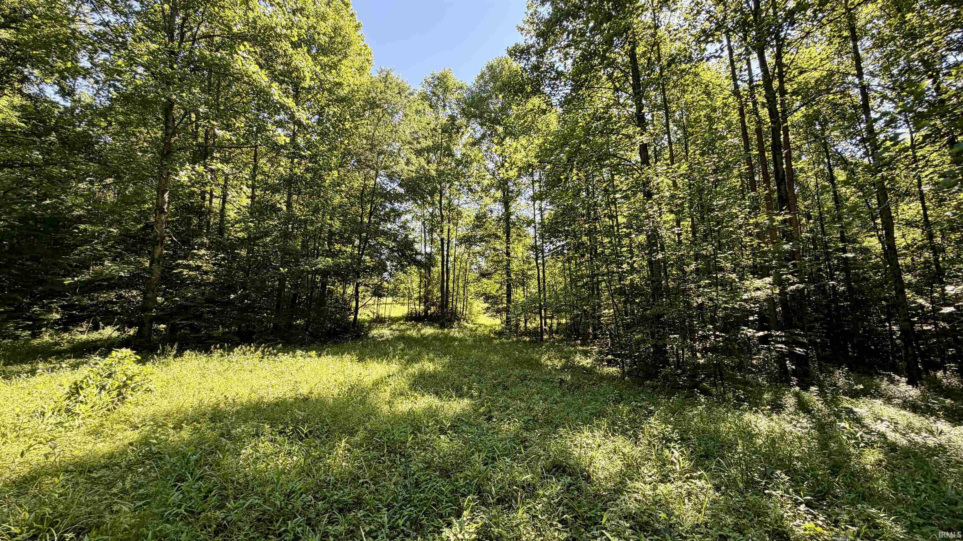 1330 East Powerline Road Norman, IN 47264 - Photo 34 of 38